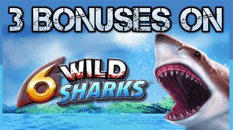 Wild Shark Bonus Betfair